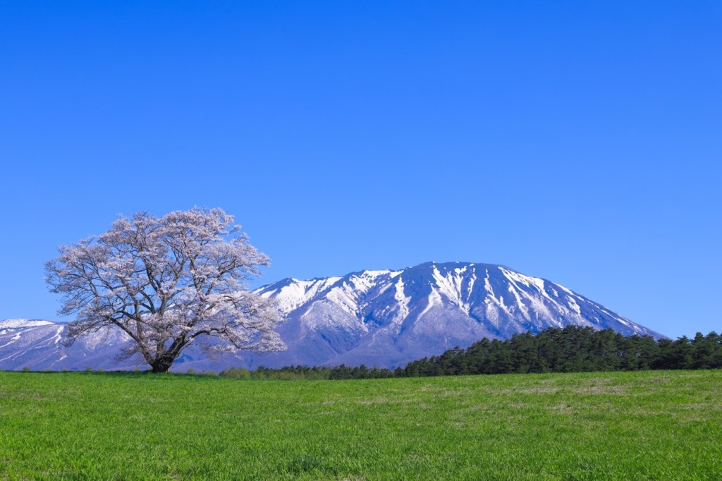 あいうえお